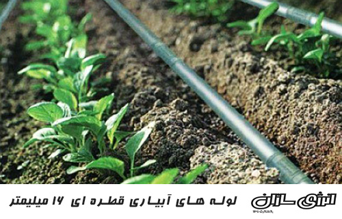 کاربرد لوله پلی اتیلن در کشاورزی